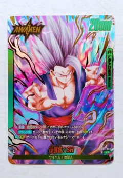 ドラゴンボール デュアルエボリューション リーダーパラレル 孫悟飯