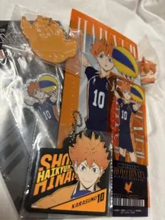 日向翔陽セット