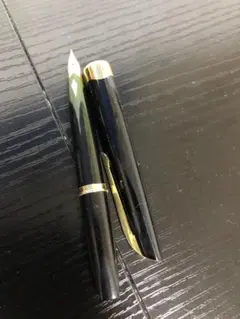 廃盤 プラチナ 万年筆 2way ツーウェイ PKW-5000 両面書き 中字 - メルカリ