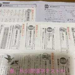 カラー版激レア】登木 健司 先生 夏期講習 特別選抜英語5講 2024年度 