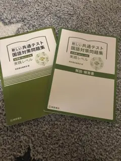 新しい共通テスト 国語対策問題集 解答解説付き