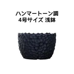 植木鉢 3Dプリンター鉢 6号サイズ 中深鉢 塊根 多肉 トウダイグサ