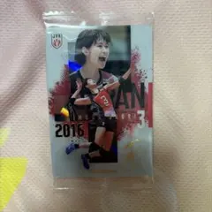 バレーボール女子日本代表 ツインウエハース 2026木村沙織