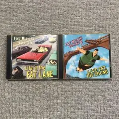 FAT WRECK CHORDS コンピレーション ２枚セット