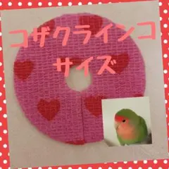 Item thumbnail for item e2ecc396-3ddf-4753-96d3-32340f915c84