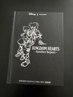 キングダムハーツ　アナザーレポート