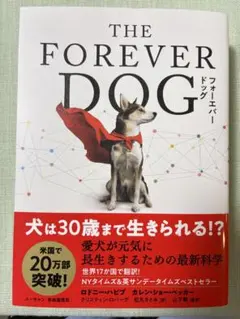 THE FOREVER DOG フォーエバー