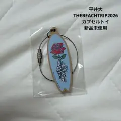 平井大　THEBEACHTRIP2026 カプセルトイキーホルダーのサムネイル