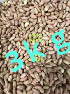 農家直送千葉生落花生訳あり5kg - メルカリ
