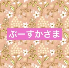 ぶーすかさま専用☆。.:*・゜