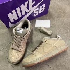 Nike SB Dunk Low Pro B HJ0367-200 28㎝