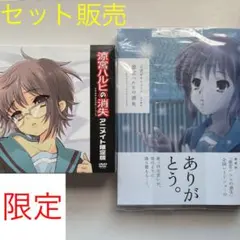 映画 涼宮ハルヒの消失おまとめセット〈限定DVD2枚〉+公式ガイドブック+パンフ