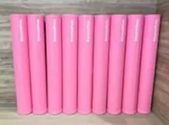 LPN ストレッチポール EX ピンク 正規品 LPN SHOP / ストレッチポールEX(ピンクベージュ)