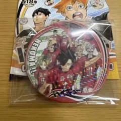 ハイキュー!! コレクション 缶バッジ 第6弾 音駒高校 レア