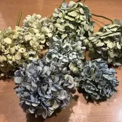 紫陽花 ドライフラワー くしゅくしゅ紫陽花10本 - メルカリ