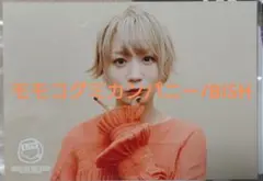 モモコグミカンパニー BiSH FC限定 生写真/プロマイド
