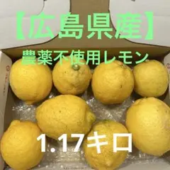 【国産】広島レモン 8個入り 1177gのサムネイル