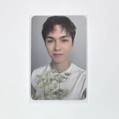 SEVENTEEN THE BEST DEAR盤 バーノン トレカ