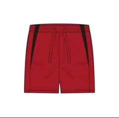 2025年最新】ハイキュー!! 高校ユニフォーム ハーフパンツ 音駒高校 L