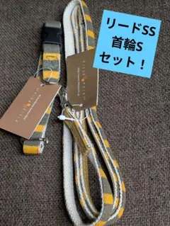 FIELD POINT リード・首輪セット