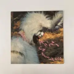 Animal Collective Who Could Win A Rabbit