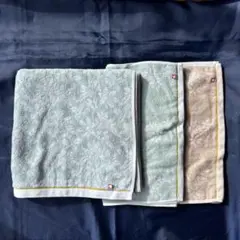 Item thumbnail for item 3e3af652-01e6-41dd-9010-e5fe7dc93775