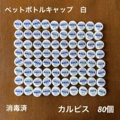 Item thumbnail for item 378ce032-56e9-45d9-ba1d-a0f2f46d33e3