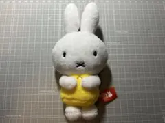 Item thumbnail for item ec19e124-dba1-47d7-af96-a0018b4b3fa4