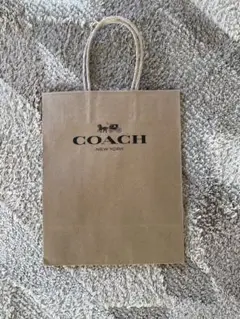 Item thumbnail for item 40093836-1a1b-4ccd-a1b4-e04e5a635215