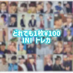 ini まとめ売り