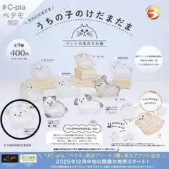 うちの子のけだまだま　チワワ白