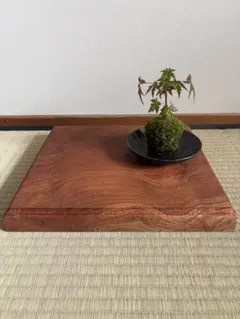 Y52 盆栽飾り台　山野草飾り台　無垢材　特殊な地板飾り台　黒檀？ Y52 盆栽飾り台 山野草飾り台 無垢材 特殊な地板飾り台 黒檀？ - メルカリ