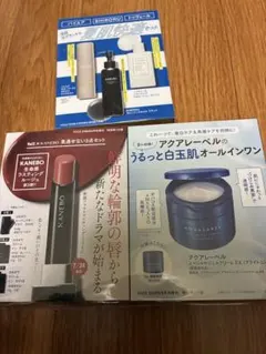 VOCE 付録セット SHIRORU KANEBO アクアレーベルのサムネイル