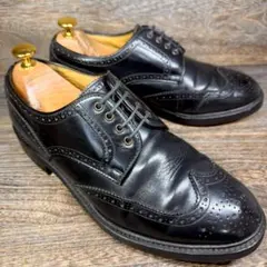 ◆REGAL◆リーガル 25.0cm ビジネスシューズ ウイングチップ レザー