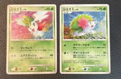 シェイミ 2枚セット
