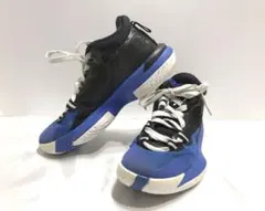 ナイキ NIKE スニーカー ■ エアジョーダン ザイオン1 23cm 黒 青系