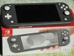 2026年最新】nintendo switch lite グレーの人気アイテム - メルカリ