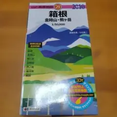 Item thumbnail for item 56e5ead1-b0ea-4289-827d-16ed83c562c7