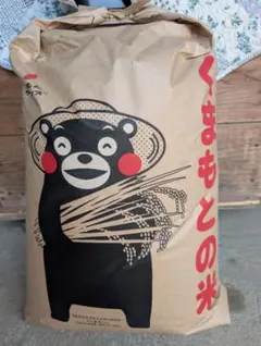 令和7年度産森のくまさん 20kg - メルカリ