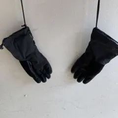 Item thumbnail for item d5d34f76-116e-439b-a265-512bdeadf5b9