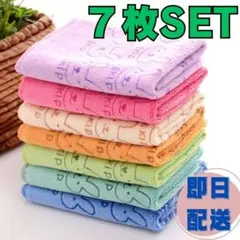 Item thumbnail for item 620d8336-4e96-46fb-8e66-eeb5a4581a7a