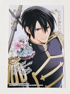 私はご都合主義な解決担当の王女である　6 特典カード