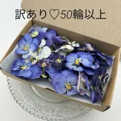 ドライフラワー♡No803♡訳あり♡自家製ビオラのドライフラワー