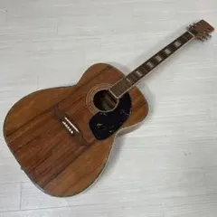 2025年最新】kawai アコースティックギターの人気アイテム - メルカリ