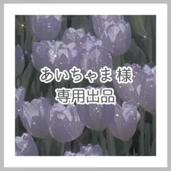 amiiboカードまとめ売り あいちゃま 様