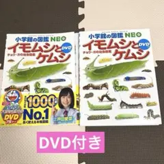 Item thumbnail for item e55f7da1-3fd3-45b6-b5e7-bcfe8190e7d0