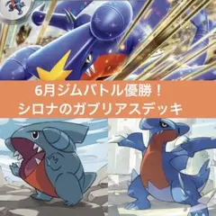 【匿名配送】6月ジムバトル優勝！シロナのガブリアスデッキのサムネイル