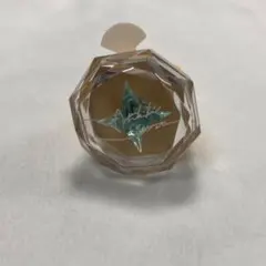 あんスタ スタライ 9th リングライト 渉