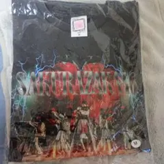 Item thumbnail for item 3f06e42b-0028-4f18-b6ae-f764dcdaf9eb