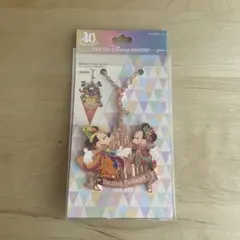 ◆ディズニーリゾート40周年バッグチャーム◆